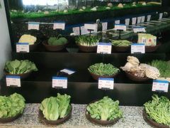 自助取餐区-宝燕壹号(徐汇店)
