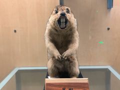 -陕西自然博物馆