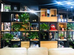 -刺客纹画纹身·洗纹身·穿孔饰品