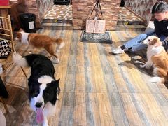 -玩坞轰趴馆·户外团建聚会主题生日派对馆(世豪广场店)