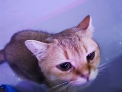 -极木²邸 人与宠物·互动社区
