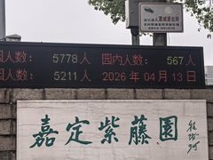 -嘉定紫藤园