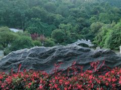 -黔灵山公园
