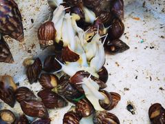 -华声天桥民俗文化园