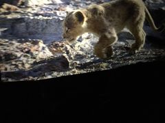 -中影国际影城(神农万达广场CINITY店)