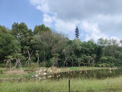 -杭州野生动物世界