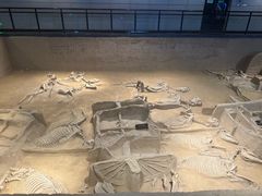 -洛阳周王城天子驾六博物馆