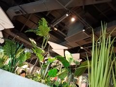 -豪客来牛排(华创国际广场店)