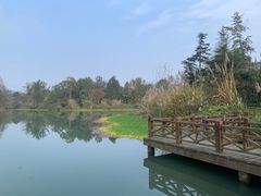 -桤木河湿地公园