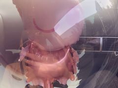 -鹿过法式甜品(中润华侨城南区店)