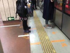 -八宝山(地铁站)