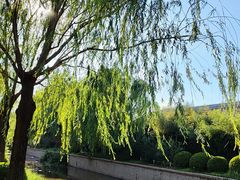 -元大都城垣遗址公园