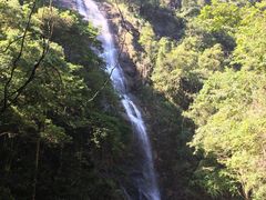 -九龙江国家森林公园