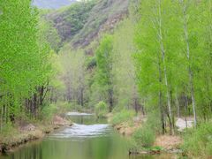 -百里山水画廊