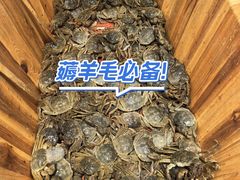 -初色海鲜自助(万丰路店)