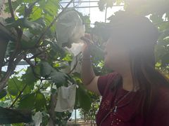 -马陆小张葡萄园农家乐