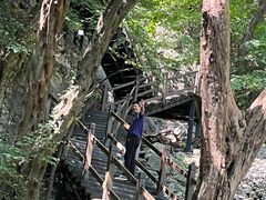 -皇藏峪国家森林公园
