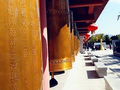 -龙口南山旅游景区