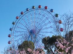 -云幽谷旅游区