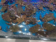 -SEA西雅图海鲜自助餐厅(海乐世界店)