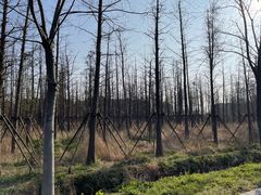 -广富林郊野公园