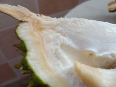 -三江购物(锦诚店)