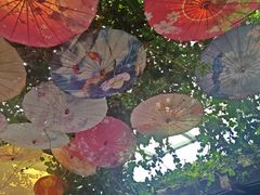 -海韵人家.海景花园经典云南菜(双廊店)