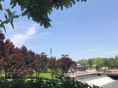 -西安汉城湖景区