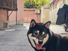 -PETKIT小佩宠物(古北店)