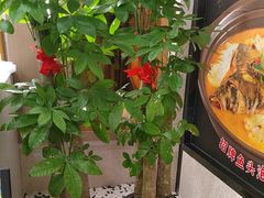 -金陵后厨·南京菜(新街口秣陵路店)