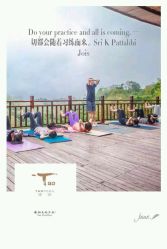 -Tao瑜伽