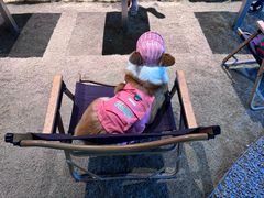 -J Create城市露营咖啡·简餐·宠物(上海动物园店)