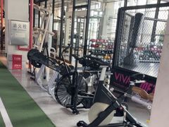 -GYMCARE VIVA(金开店)