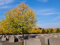 -欧洲被害犹太人纪念碑