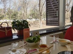 靠窗位-楊家一锅(沙阳路店)