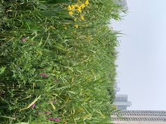 -苏州河梦清园环保主题公园