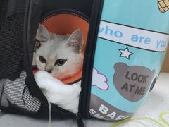 -联合动物医院(光谷诊疗中心)