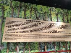 -野象谷景区