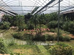 -无锡动物园·太湖欢乐园