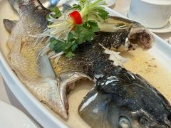 -千灯盛汇·头牌粤菜(致越优城店)