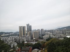 -福道