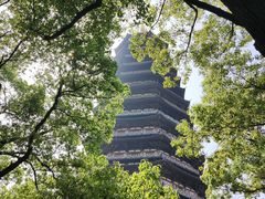 -红梅公园