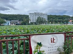 -曼丢傣家古寨