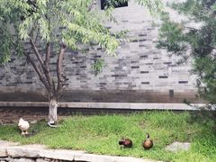 -三里河公园