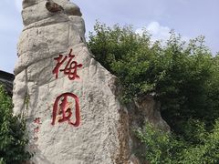 -梅园