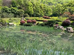 -桃花岭景区