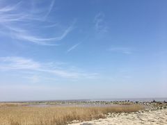 -南汇嘴观海公园