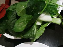 android_upload_pic-新辣道鱼火锅(领展购物广场·中关村店)