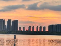 -天鹅湖体育公园