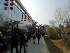 -三圣花乡旅游区